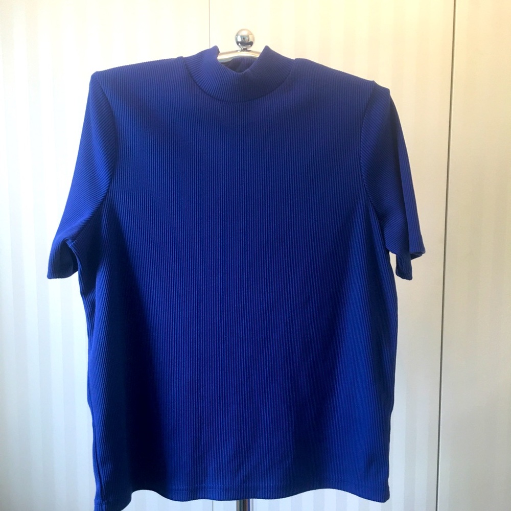 PS Casual blue ribbed short sleeve top Size 1X